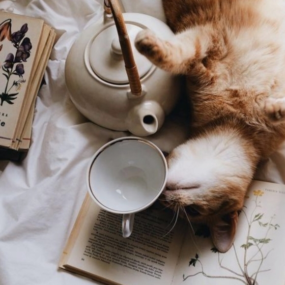 Cottagecore Build your own mystery pack - Picture 3 of 5